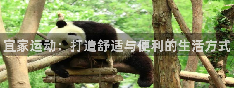 注册好博体育官方正版app:宜家运动:打造舒适与便利的生活方