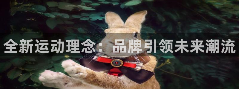 好博体育官网下载是干嘛的公司:全新运动理念:品牌引领未来潮流