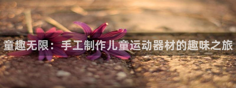 好博体育官网下载软件:童趣无限:手工制作儿童运动器材的趣味之