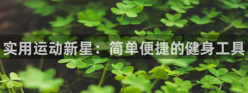 海南好博体育官网下载:实用运动新星:简单便捷的健身工具